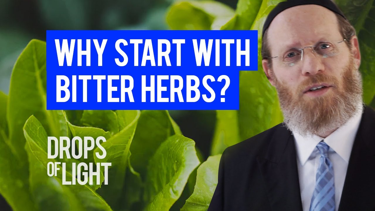 Why Bitter Herbs at the Passover Seder? (70 Sec)